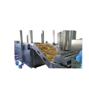 Automatic Banana Chips Processing Line