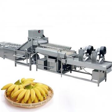 Semi-automatic Banana Chips Processing Line